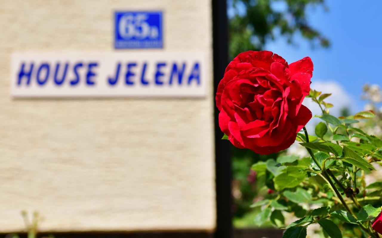 Appartamento House Jelena Seliste Dreznicko Esterno foto